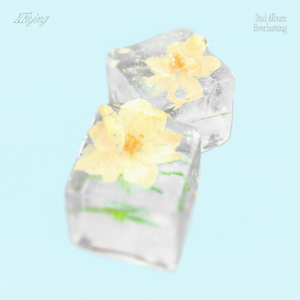 黄片在哪里搜索
