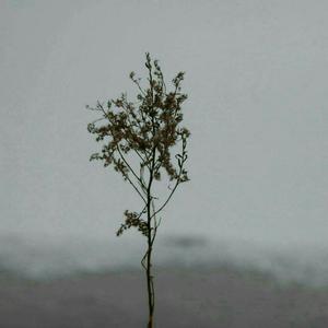 老师把内裤掀开给学生摸视频
