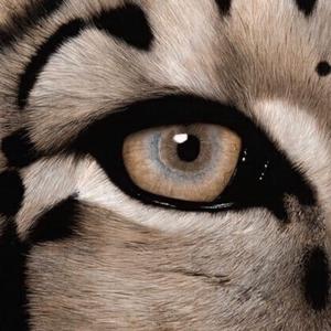 吴姐全家互换共乐阅读心得
