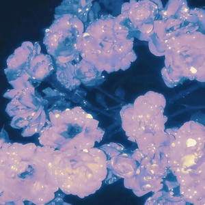 裸身美女在客厅自慰喷水呻吟久久久免费看
