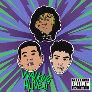 日本特黄色A视频
