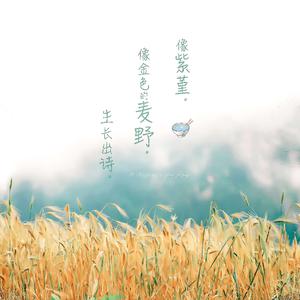 晚上做爱能看日皮的视频
