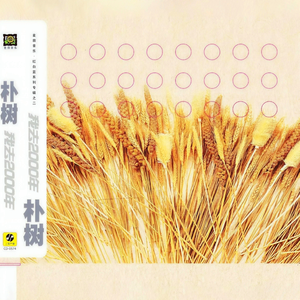 国产精品不卡AⅤ在线播放
