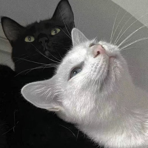 青春禁区视频在线观看
