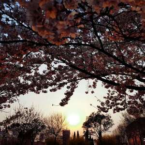 纸壳厂偷拍视频在线观看
