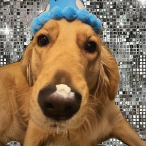 阿拉拍av性别管
