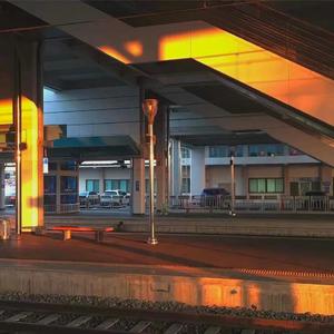 黄频视频在线观看
