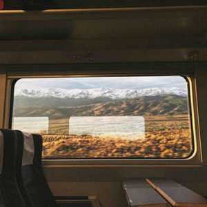 野外树林老汉XXXHD
