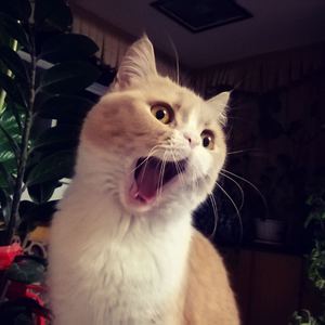 男生肌肌涌女生肌肌视频
