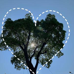 国产精品不卡AⅤ在线播放
