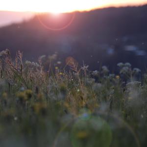 Metbabes图库最新
