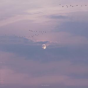 亚洲精品️无码一区二
