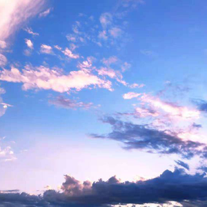 印度老爷爷黄色网
