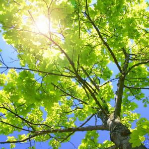 吴姐全家互换共乐阅读心得
