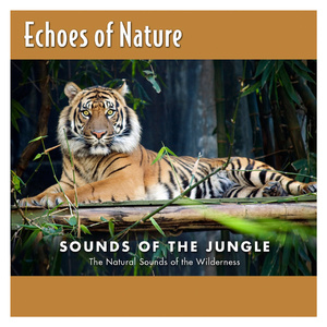 日本XXXX69HD老师学生
